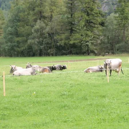 Farm stay Hauseggerhof *
