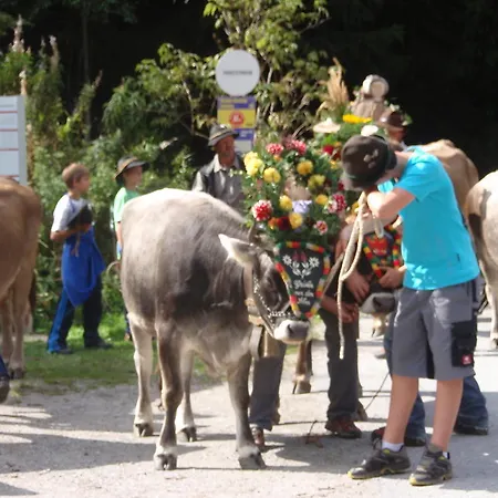 Hauseggerhof لانغنفلد