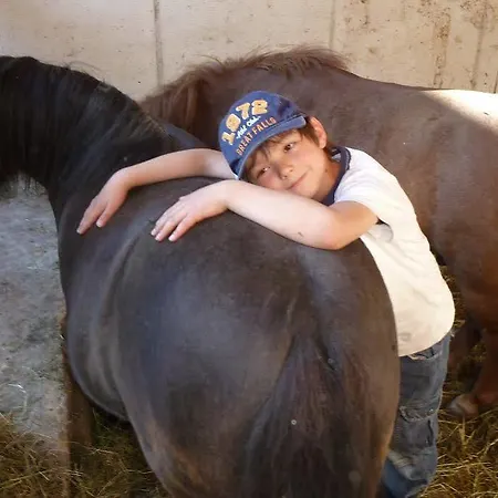 Hauseggerhof لانغنفلد