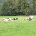 팜스테이 Hauseggerhof *