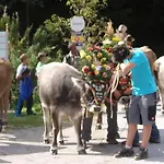 Hauseggerhof 란켄펠트