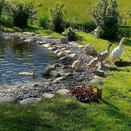 Hauseggerhof Çiftlik konaklama Längenfeld