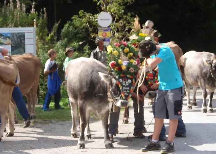 Hauseggerhof Längenfeld